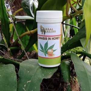 Herbal Healing Cannabis In Honey
